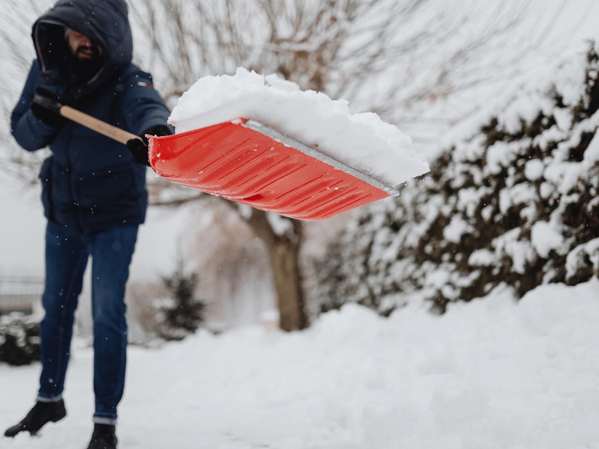 removes accumulated snow