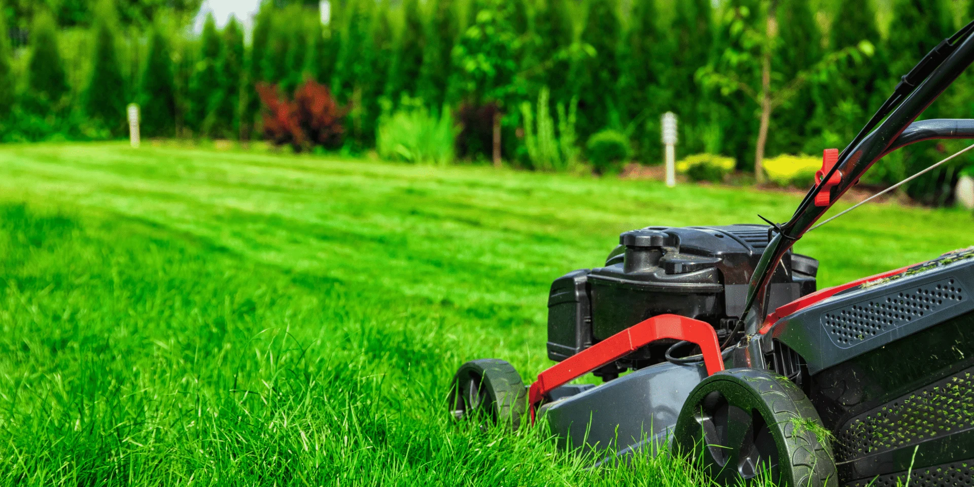 Mowing Maintenance