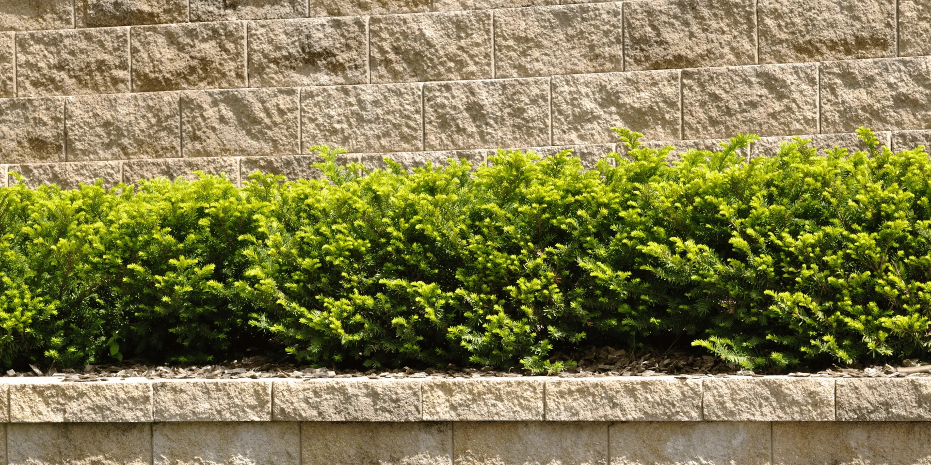 Retaining Wall Repair